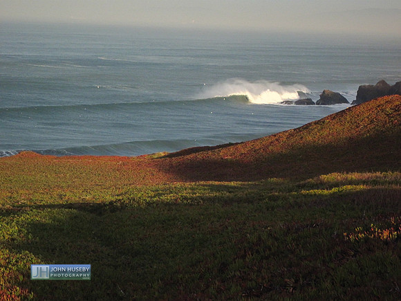Northern Pacifica