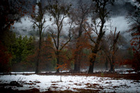 JHP_0047