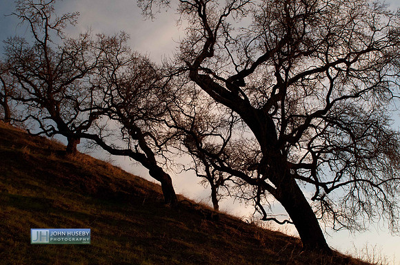 010212wcsunset-13