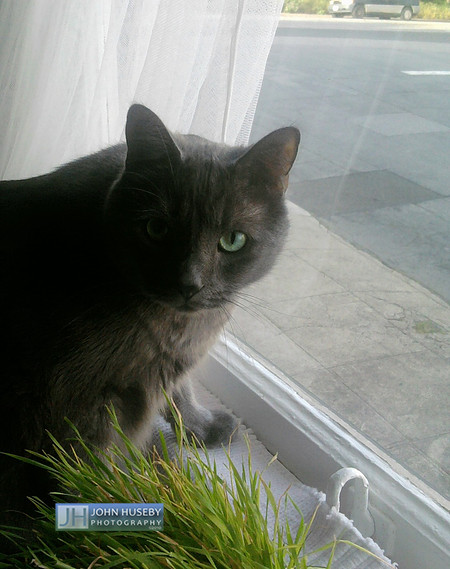 Photo0397