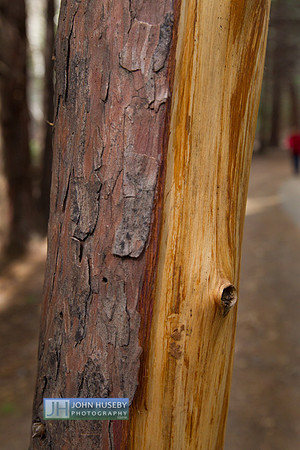 JHP_5085